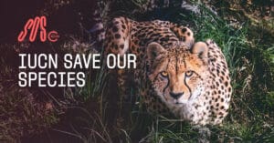 SaveOurSpecies 